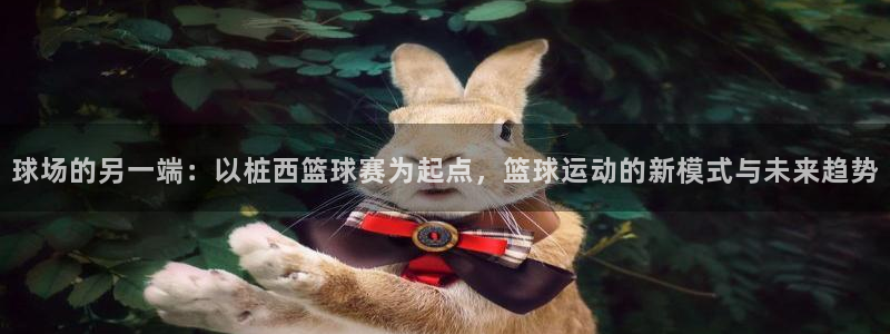 球场的另一端：以桩西篮球赛为起点，篮球运动的新模式与未来趋势