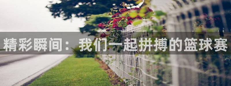 678体育学基础综合包括什么：精彩瞬间：我们一起拼搏的篮球赛