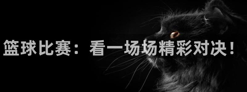 678体育现在叫什么：篮球比赛：看一场场精彩对决！
