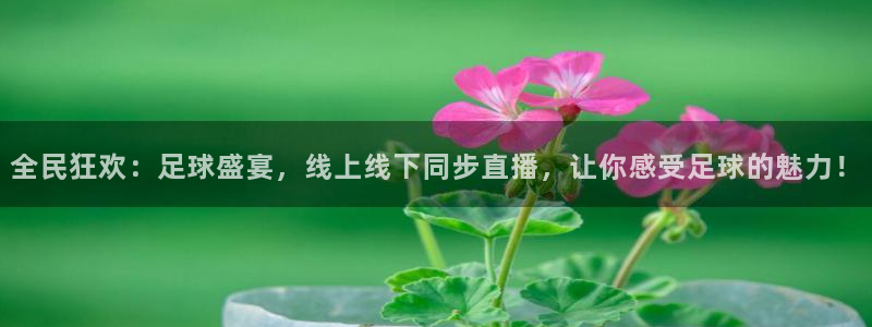 678体育无限期审核：全民狂欢：足球盛宴，线上线下同步直播，
