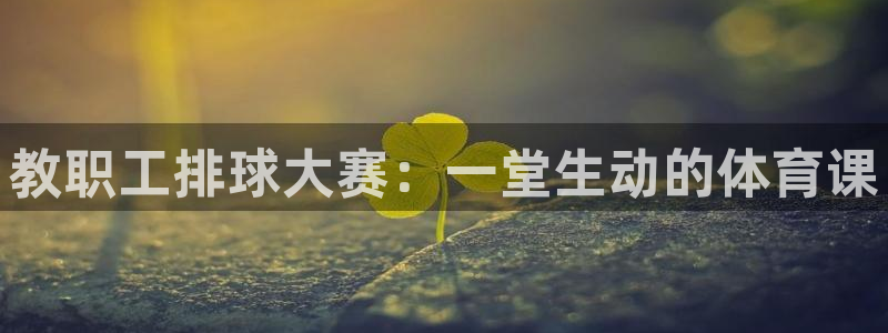  678体育改名后叫什么：教职工排球大赛：一堂生动的体育课