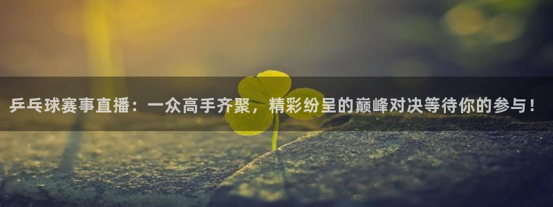  678体育基础综合：乒乓球赛事直播：一众高手齐聚，精彩纷呈的