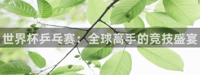 678体育综合包括哪几本书：世界杯乒乓赛：全球高手的竞技盛宴
