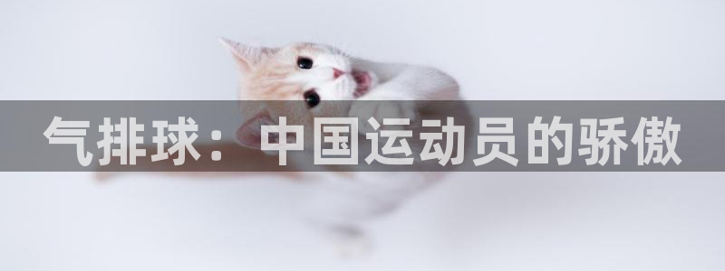 678体育：气排球：中国运动员的骄傲