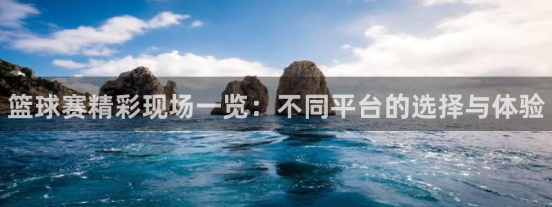  678体育登录入口网页版：篮球赛精彩现场一览：不同平台的选择