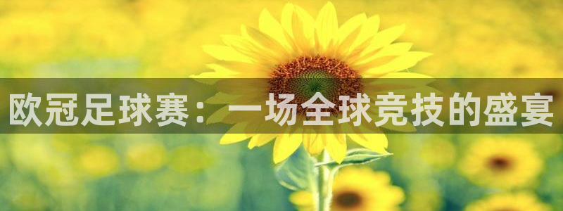  678体育综合包括哪几本书：欧冠足球赛：一场全球竞技的盛宴