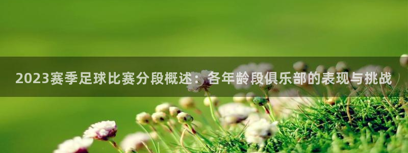 678体育直播官网入口：2023赛季足球比赛分段概述：各年龄