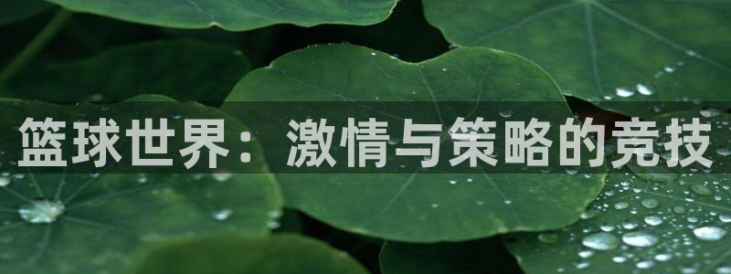 678体育改名后叫什么：篮球世界：激情与策略的竞技