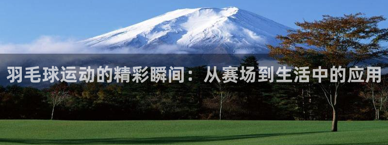 678体育苹果版下载：羽毛球运动的精彩瞬间：从赛场到生活中的