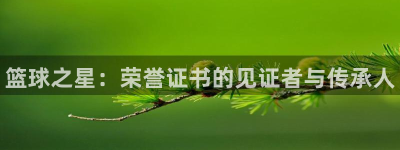  678体育：篮球之星：荣誉证书的见证者与传承人