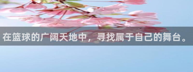 678苹果版下载：在篮球的广阔天地中，寻找属于自己的舞台。